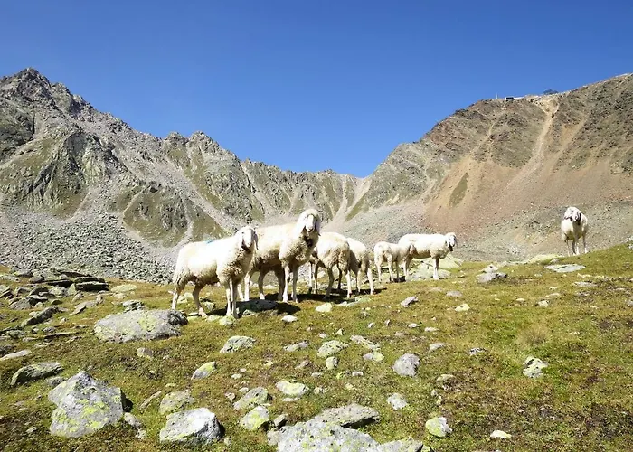 Alpenblick By Interhome דירה זולדן